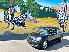 Mini Cooper Gallery