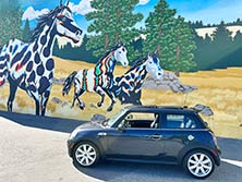 Mini Cooper Gallery